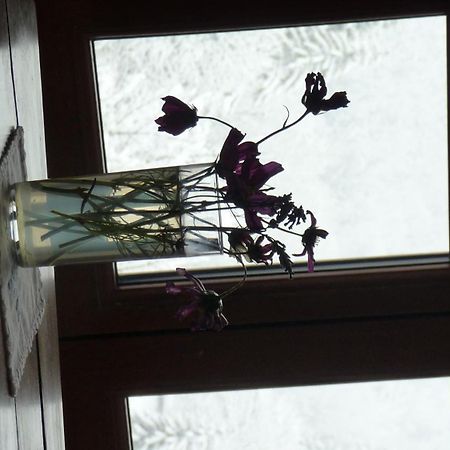 La Chouette A L'Heure Du Pinson Bed and Breakfast Saint-Pierre-d'Entremont  Rum bild
