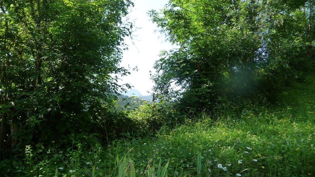 La Chouette A L'Heure Du Pinson Bed and Breakfast Saint-Pierre-d'Entremont  Exteriör bild